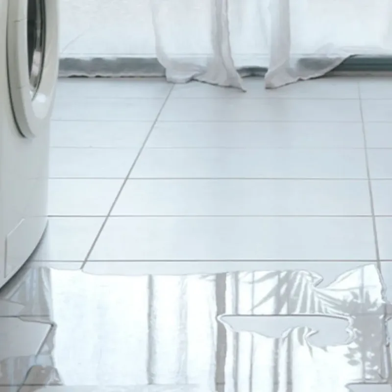 Appliance Leak Cleanup in Flat Rock, MI