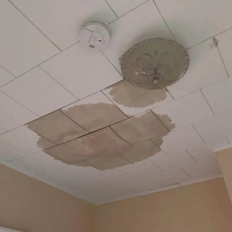 Ceiling Water Damage Repair in Flat Rock, MI