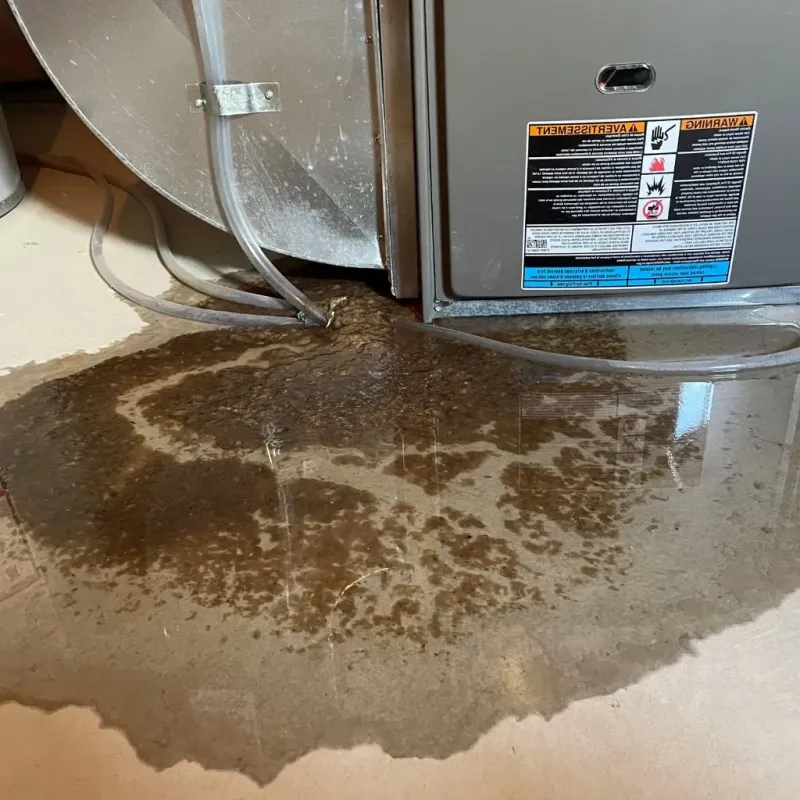 Pipe Burst and Leak Restoration in Flat Rock, MI