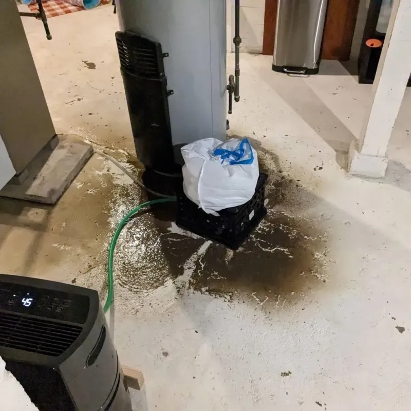 Sewage Backup Cleanup Service in Flat Rock, MI